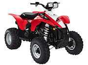 2009 500 Polaris 4 Wheelers engine diagram