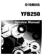1995 timberwolf 250 repair manual s