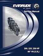 2008 Evinrude E250DPXSCM  service manual