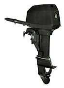 johnson 2.3 outboard motor model number hj2renr