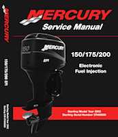 how much does a 200 mercury boat motors weight